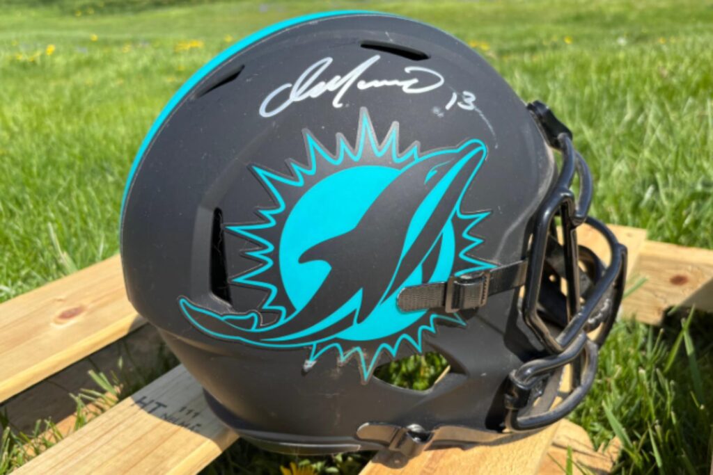 imgi_8_signed-dolphin-helmet-for-vintage-website