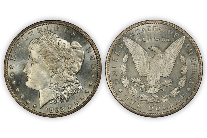 morgan dollar for website
